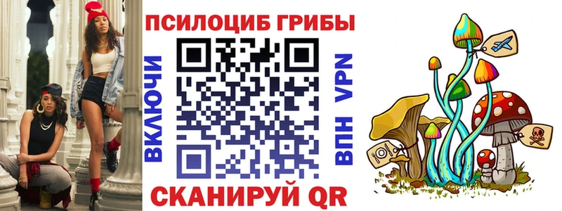 закладка  Клинцы  это Telegram  Псилоцибиновые грибы MAGIC MUSHROOMS 